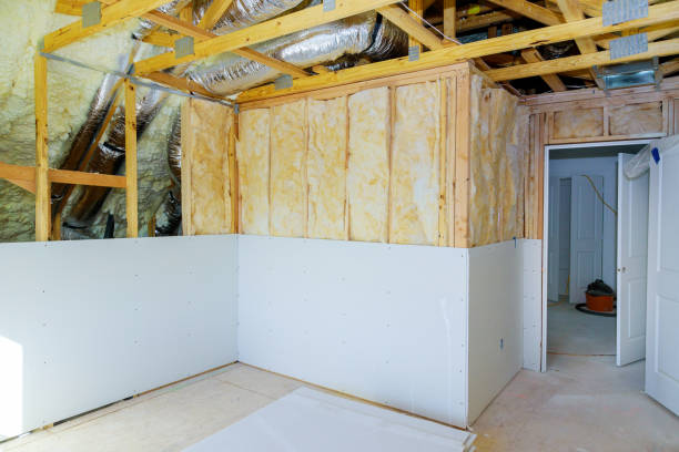 Best Eco-Friendly or Green Insulation Solutions  in Guntersville, AL